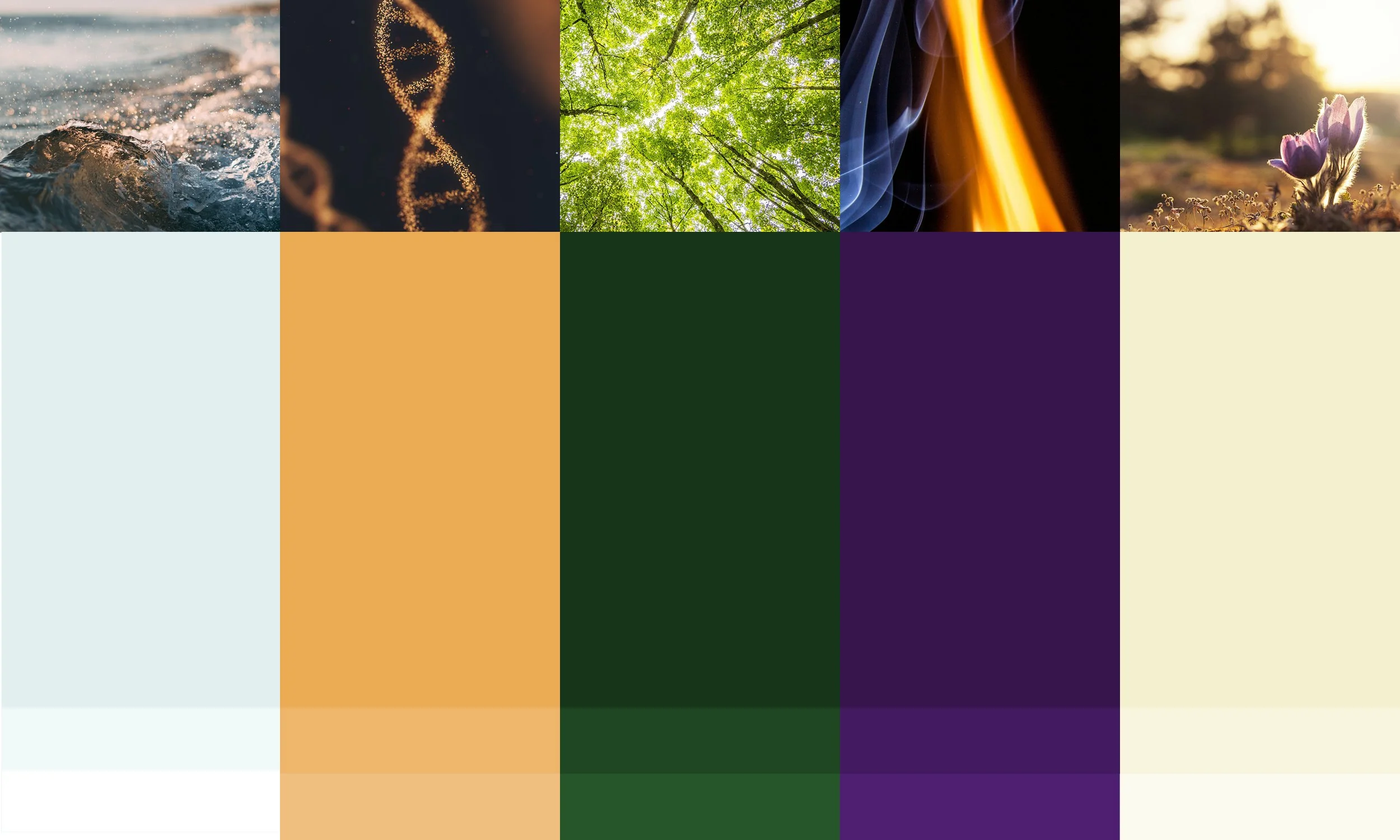 The Light Arts Design Breath Connection case study