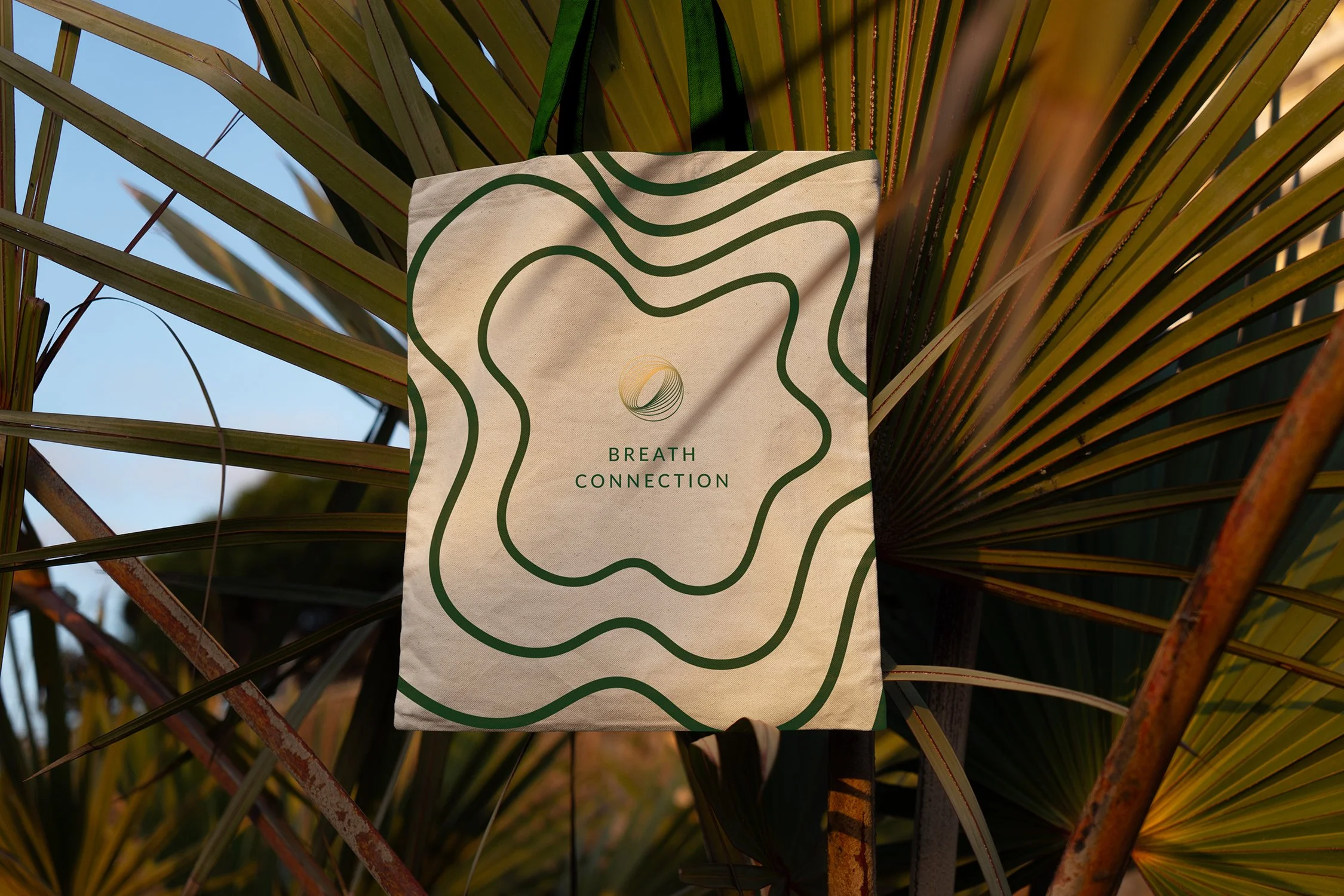 The Light Arts Design Breath Connection case study