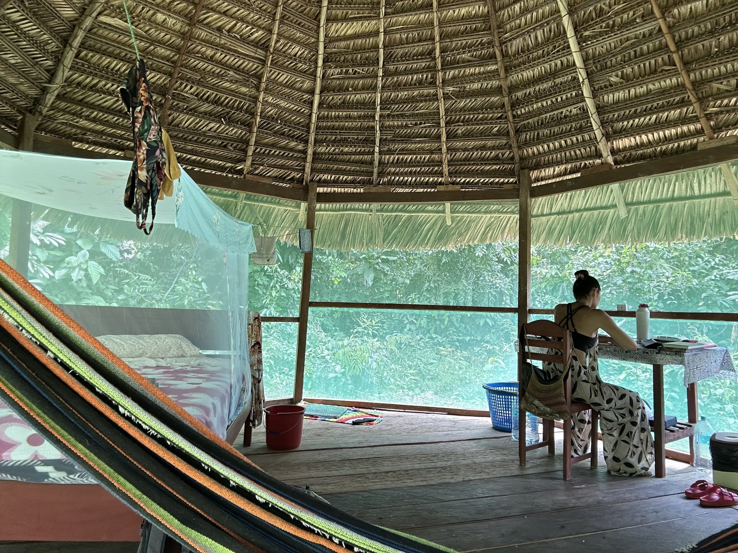 Shipibo Conibo Master plant dieta The Light Arts