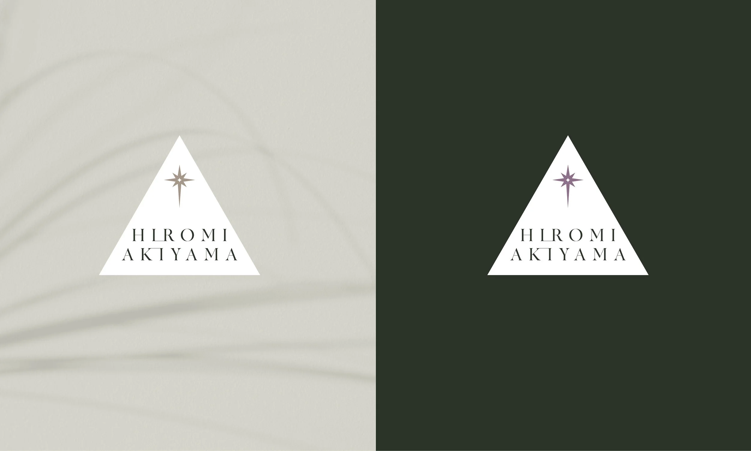 The Light Arts Design Hiromi Akiyama branding
