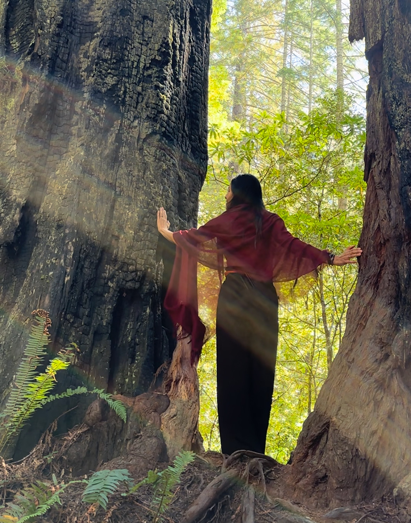 The Light Arts Design Root to Rise brand mentorship