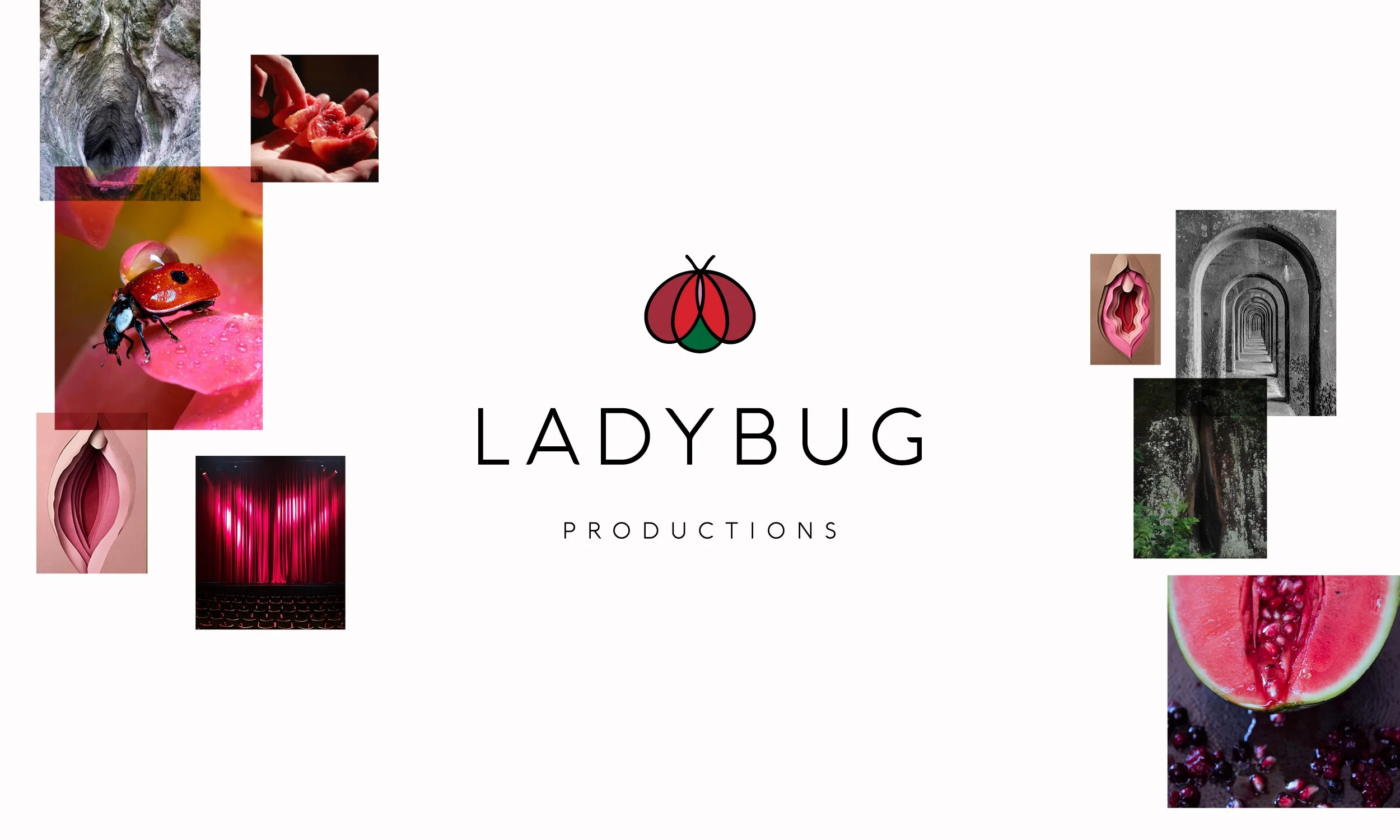 The Light Arts Design ladybug
