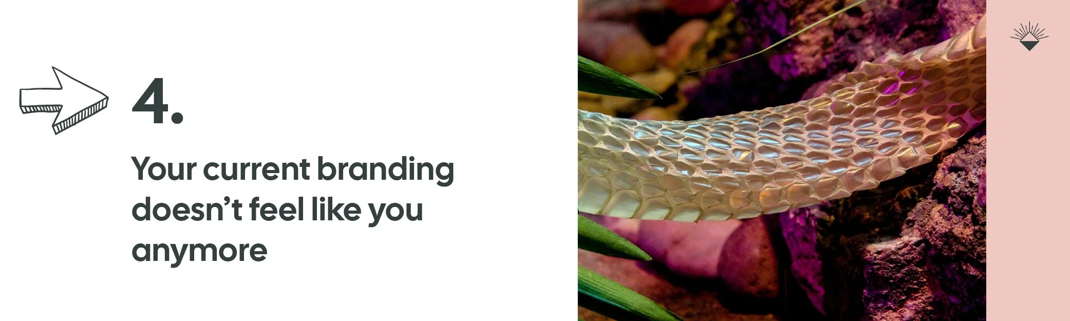 Branding for conscious entrepreneurs, your branding doesn't feel like you