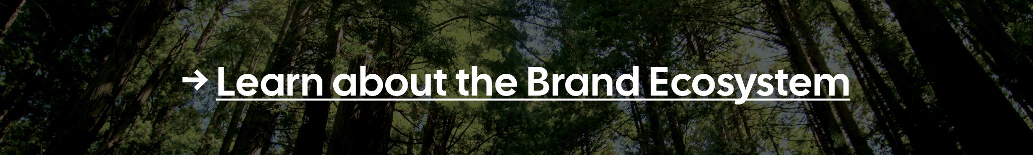 learn about branding ecosystem