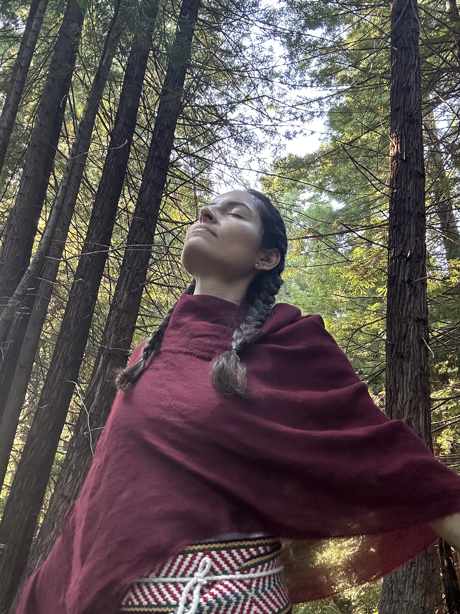 The Light Arts Design Root to Rise brand mentorship