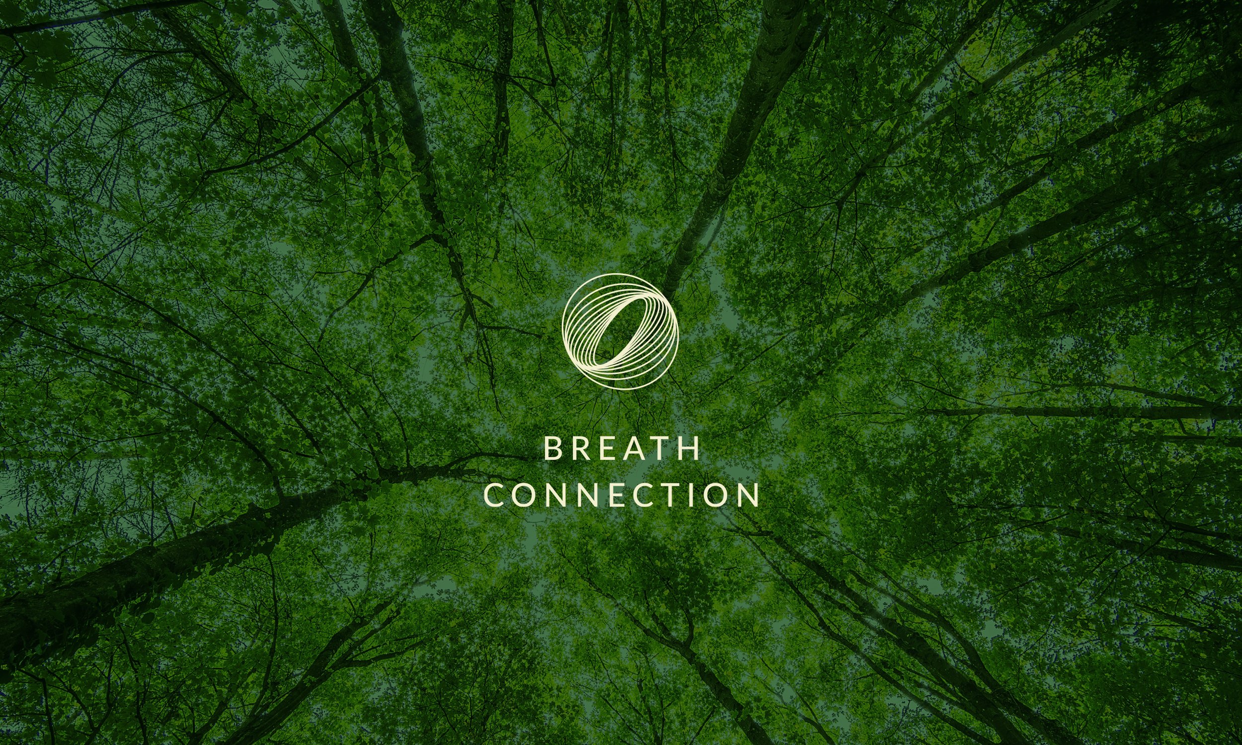 The Light Arts Design Breath Connection case study