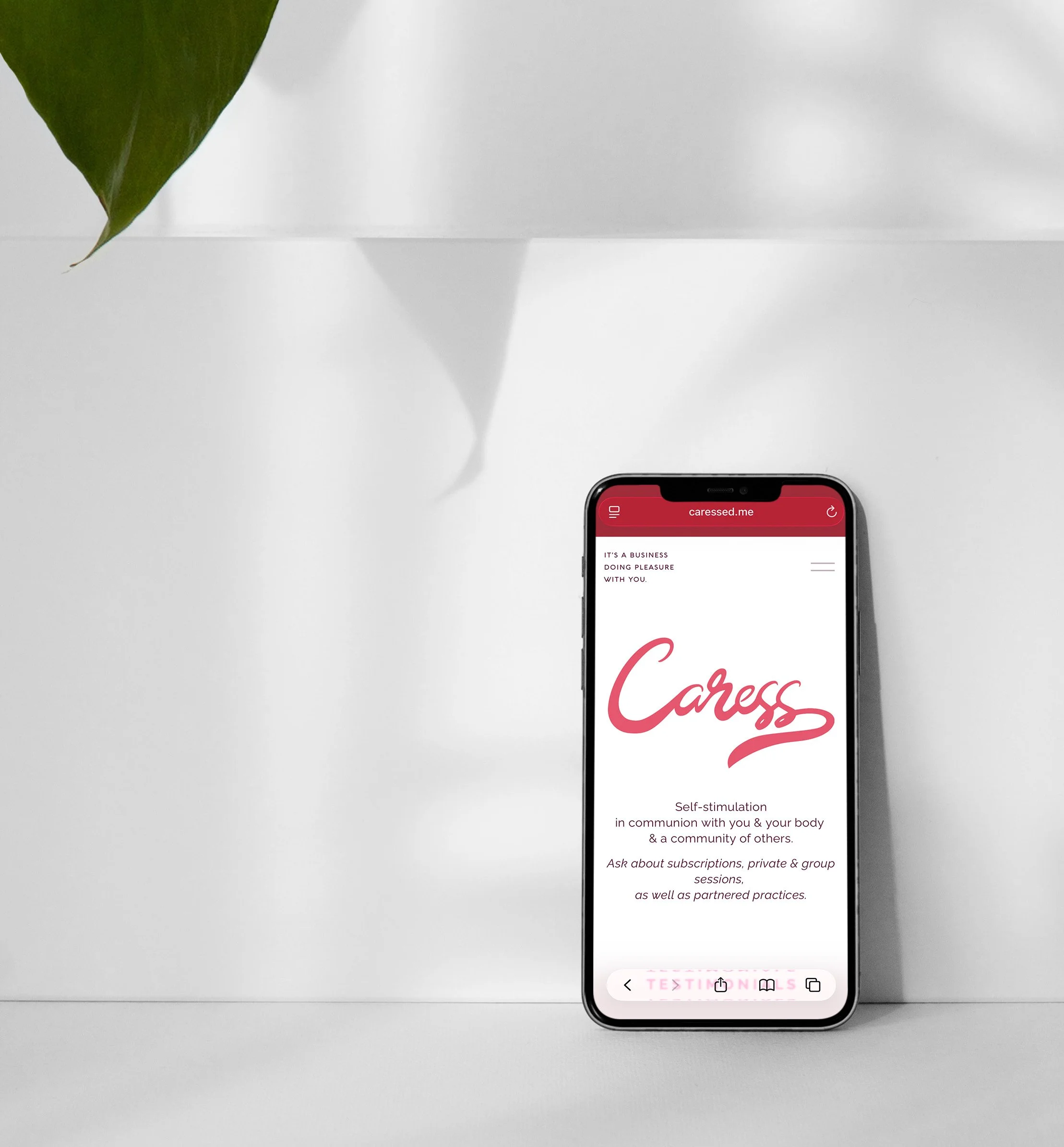 The Light Arts Design web design