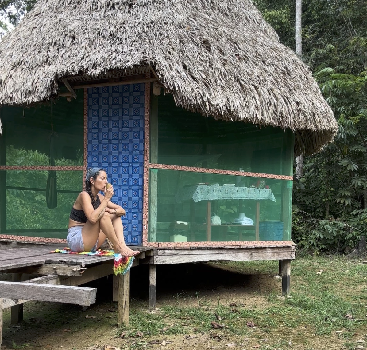 Shipibo Conibo Master plant dieta The Light Arts