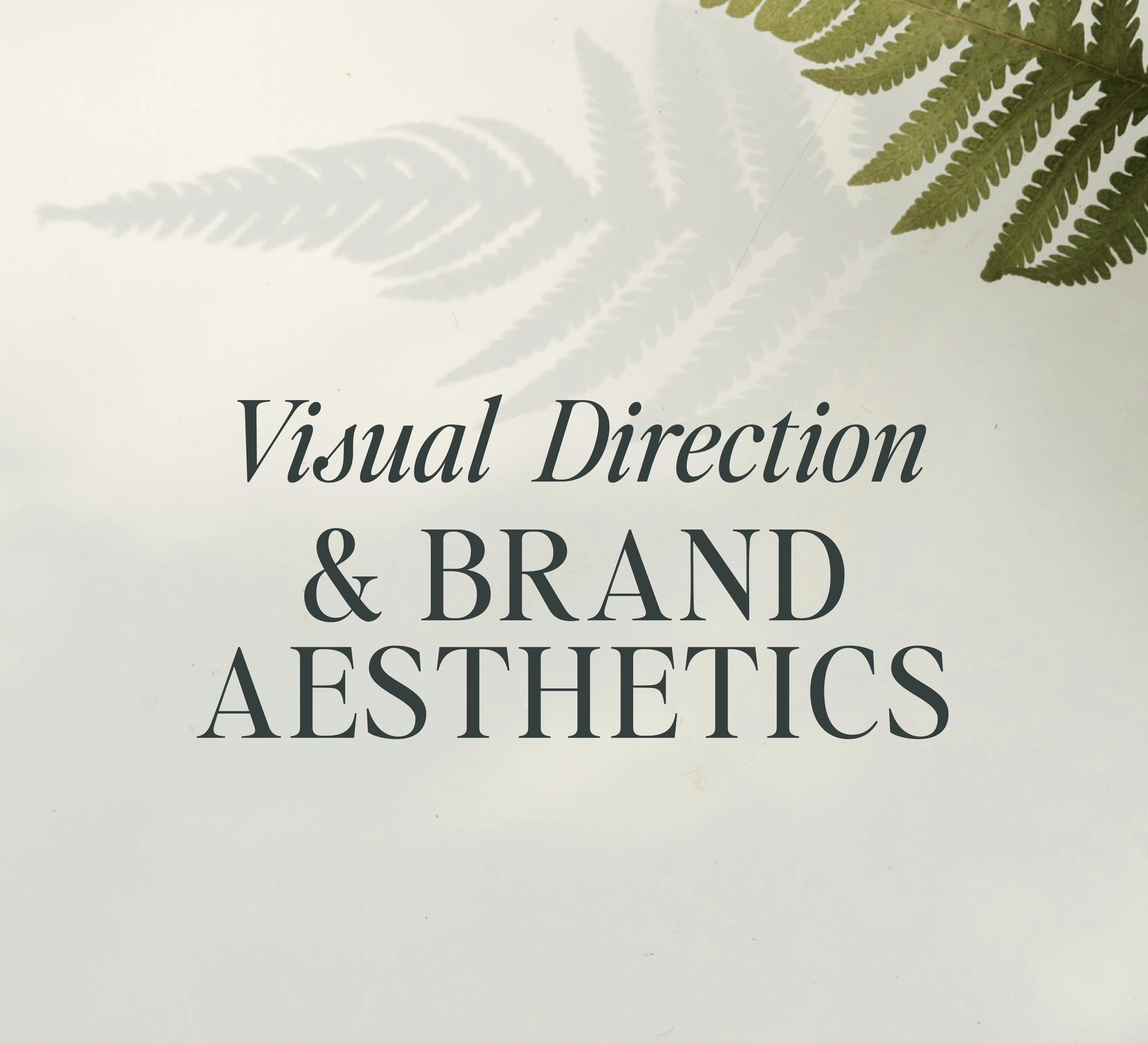 brand visual direction