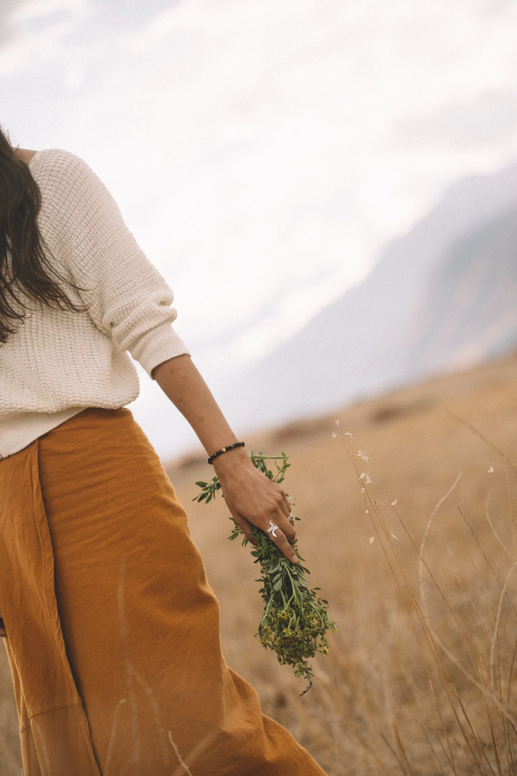 The Light arts conscious branding, hand holding a bunch of ruda in a beautiful landscape