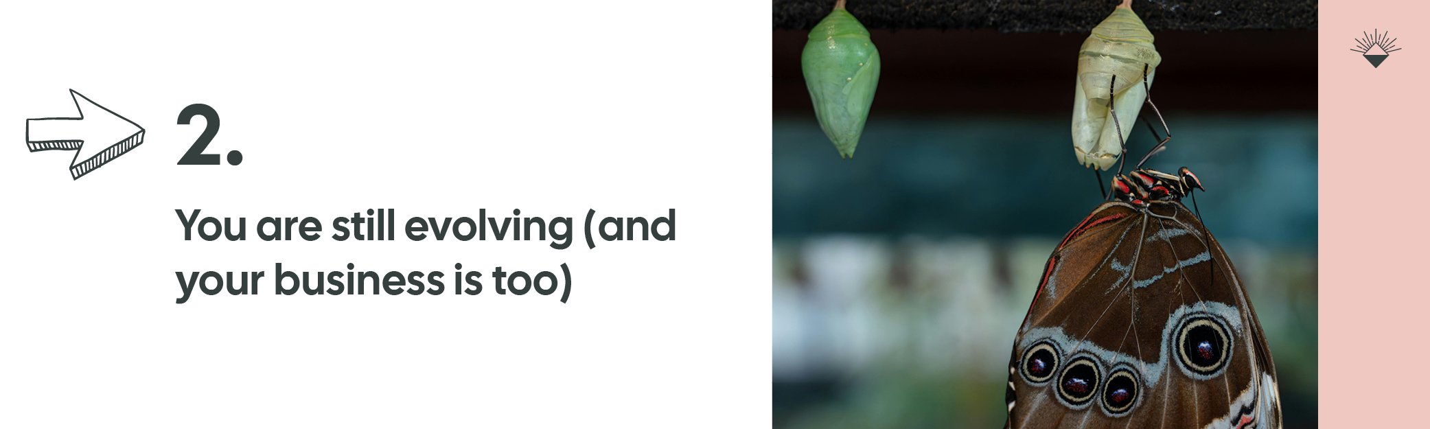 Branding for conscious entrepreneurs, you are evolving