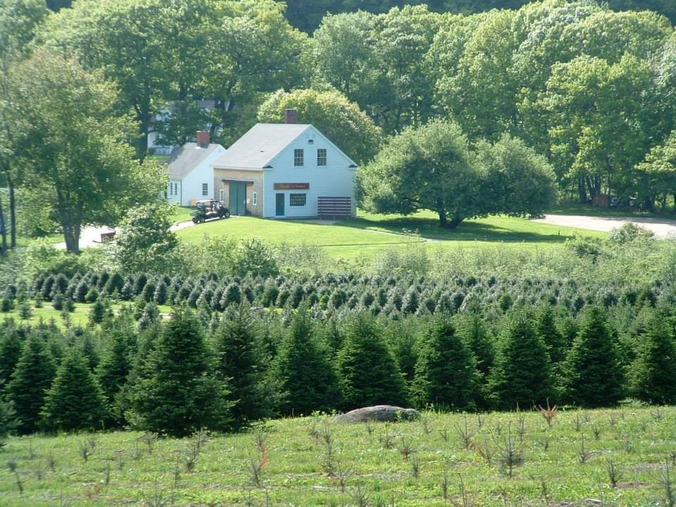 Southern Maine Real Estate Roundup - December 2025