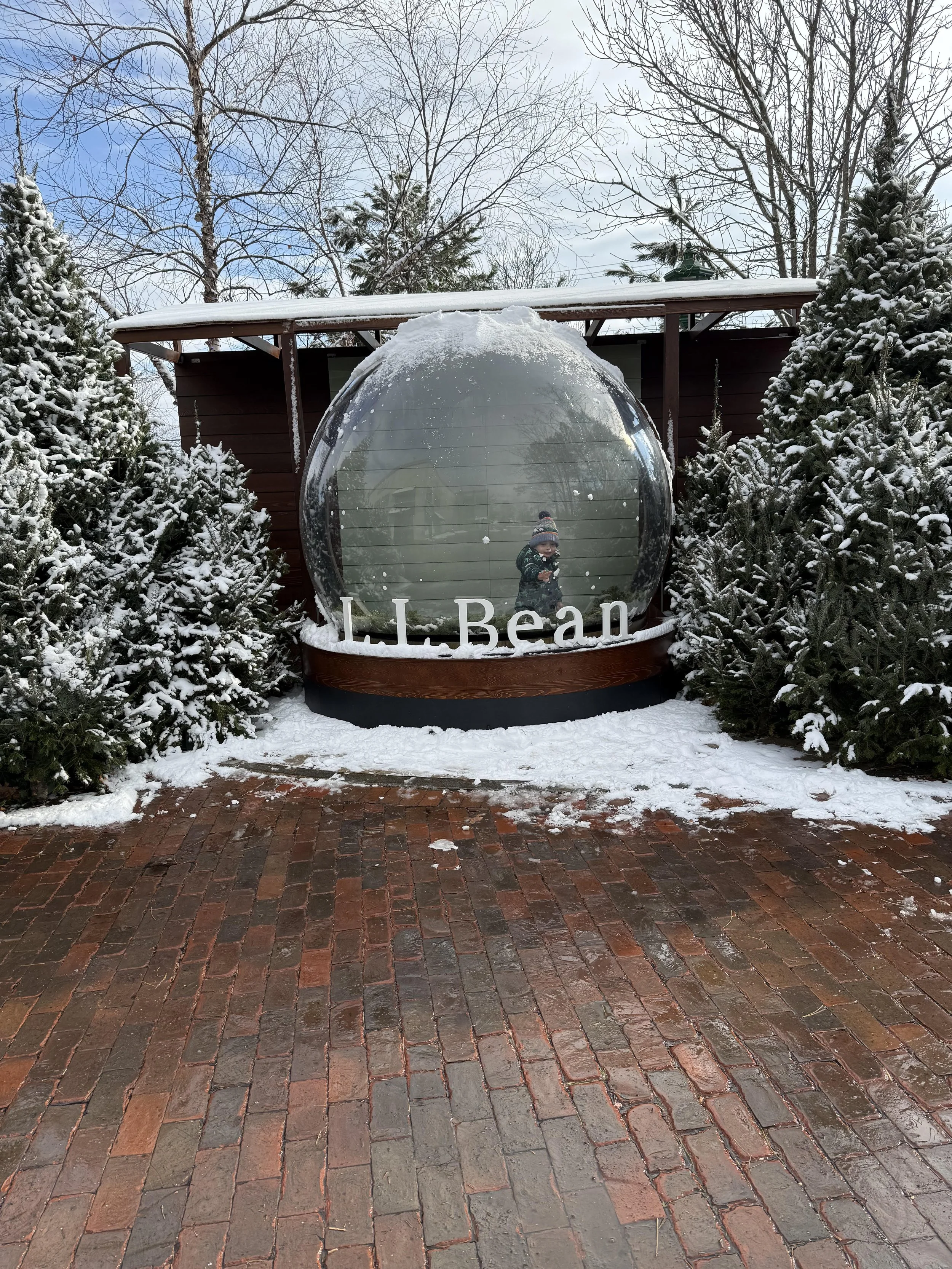 Southern Maine Real Estate Roundup - February 2026