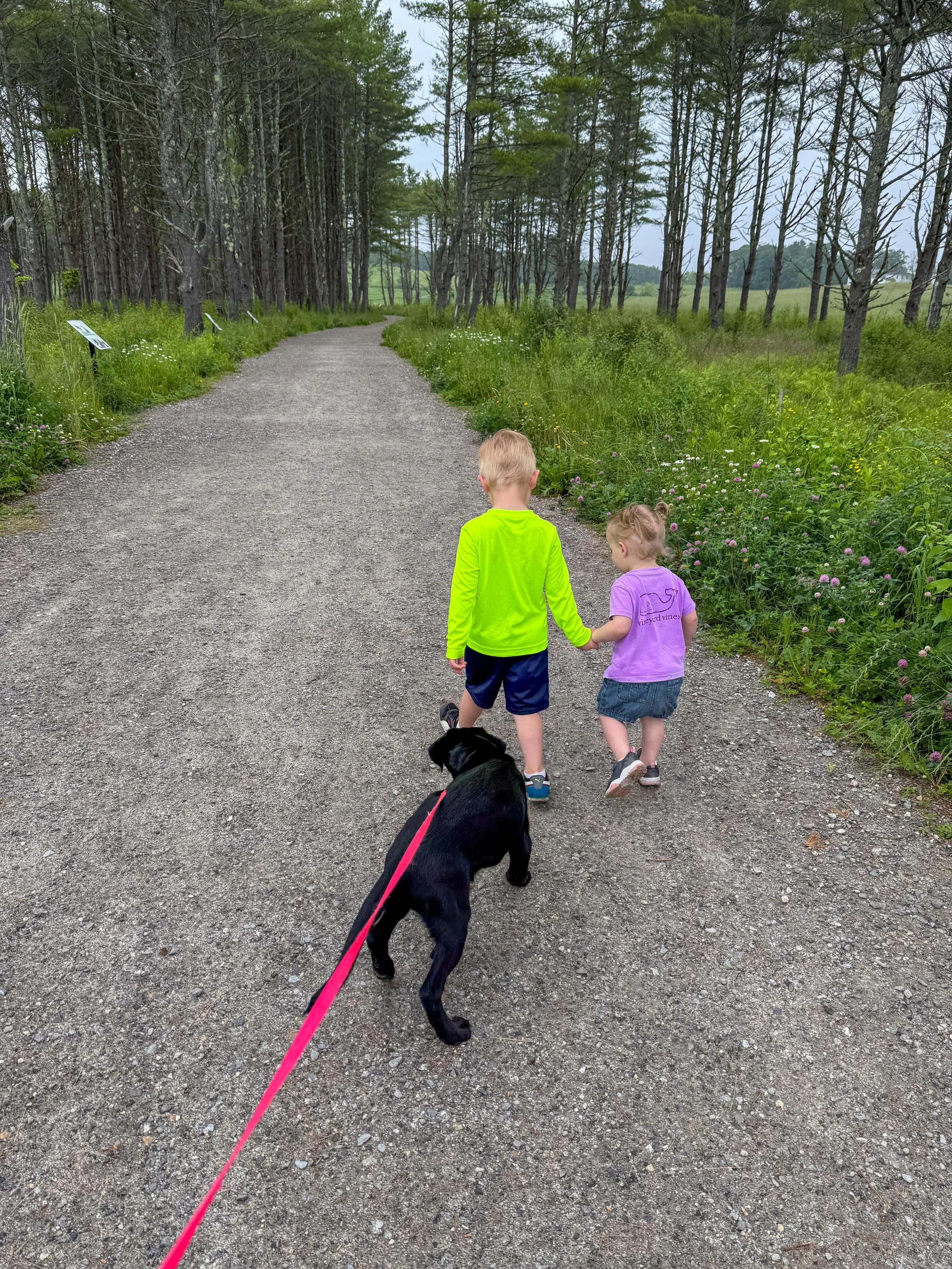 Joe Auger, Joe Auger Real Estate, Joe Auger Maine, Two children walking on a gravel trail in a forest, holding hands, with a black dog on a red leash. The surrounding area has green grass and wildflowers, with tall trees lining the path.
