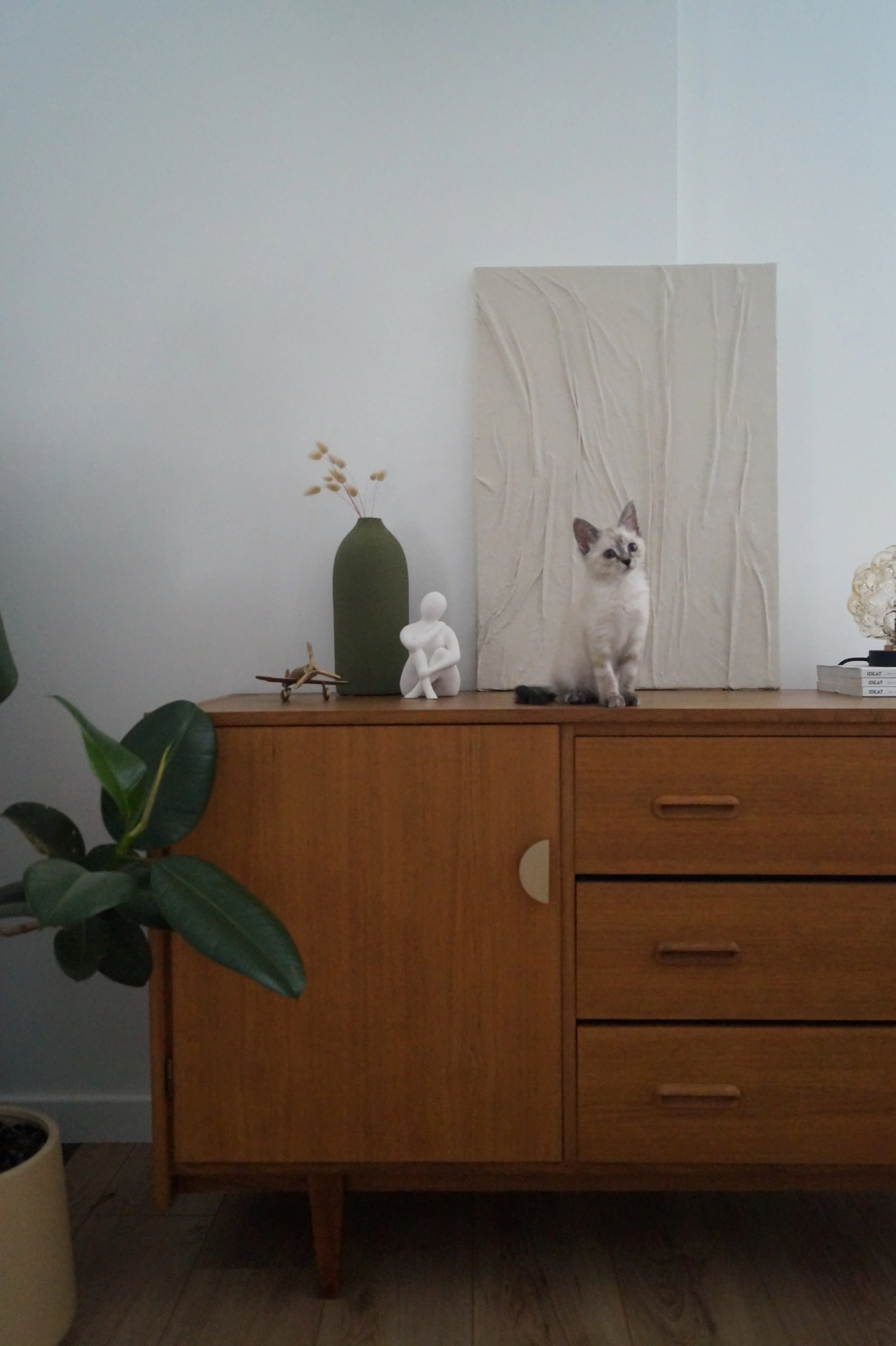 Un chaton assis sur un meuble en bois avec des vases, une sculpture et un tableau abstrait en arrière-plan.