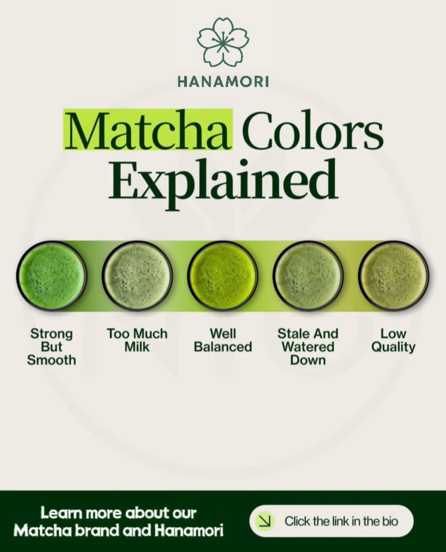 Not all matcha is the same!
Here&rsquo;s how to choose
the right one for your ritual, latte, or recipe
#Hanamori #matcha #matchatips #ecommerce #fyp
Matcha colors actually tell you a lot 👀🍵
Bright green = strong but smooth
Pale green = too much mil