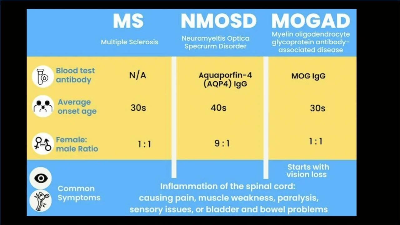 MOG infograph.pptx (1).jpg