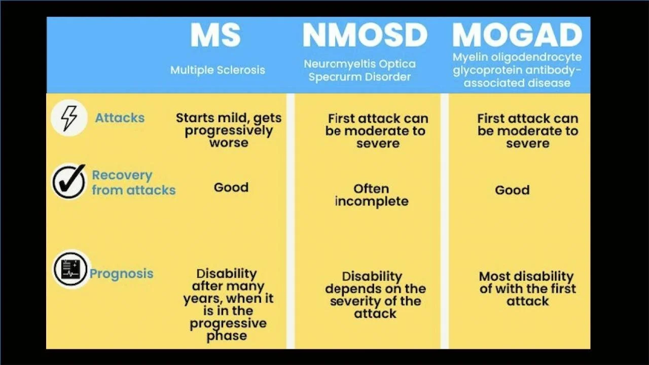 MOG infograph.pptx (2).jpg