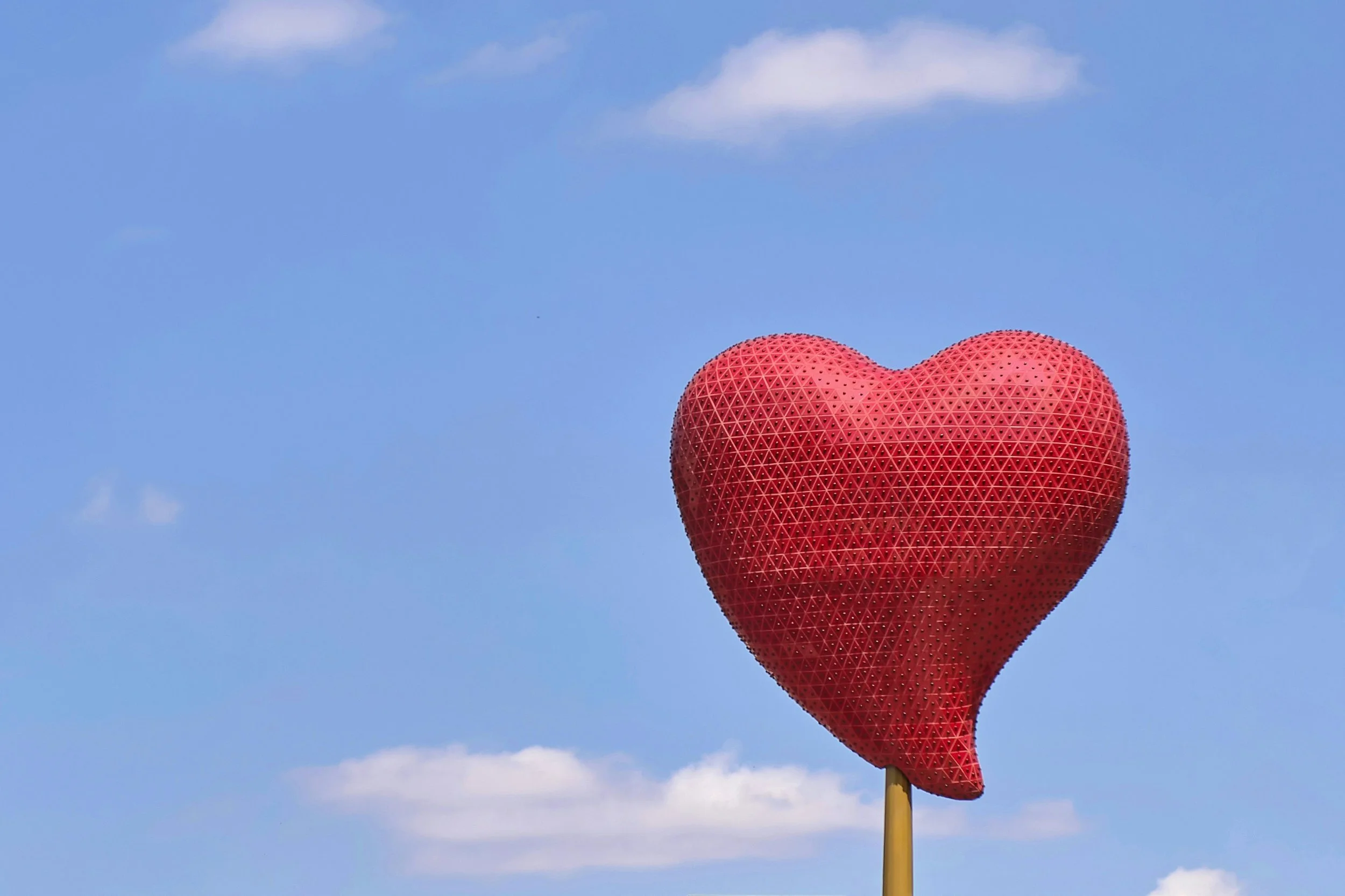 Living Your Dreams When Living with Rare Disease: How Chris Anselmo Learned to Follow His Heart