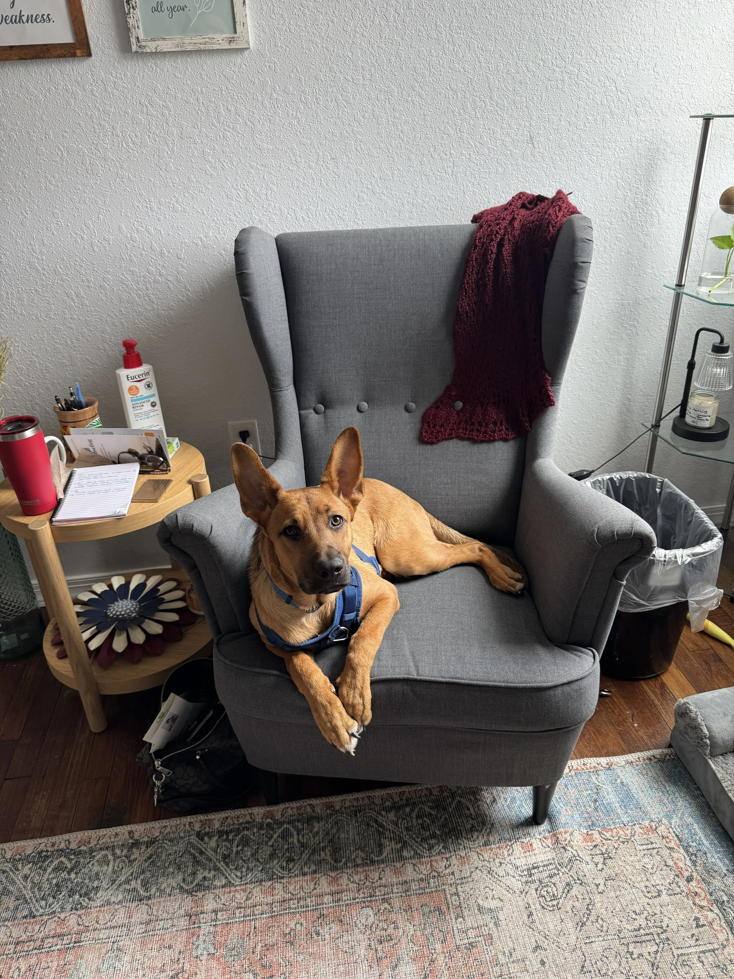 Chester at work.jpg