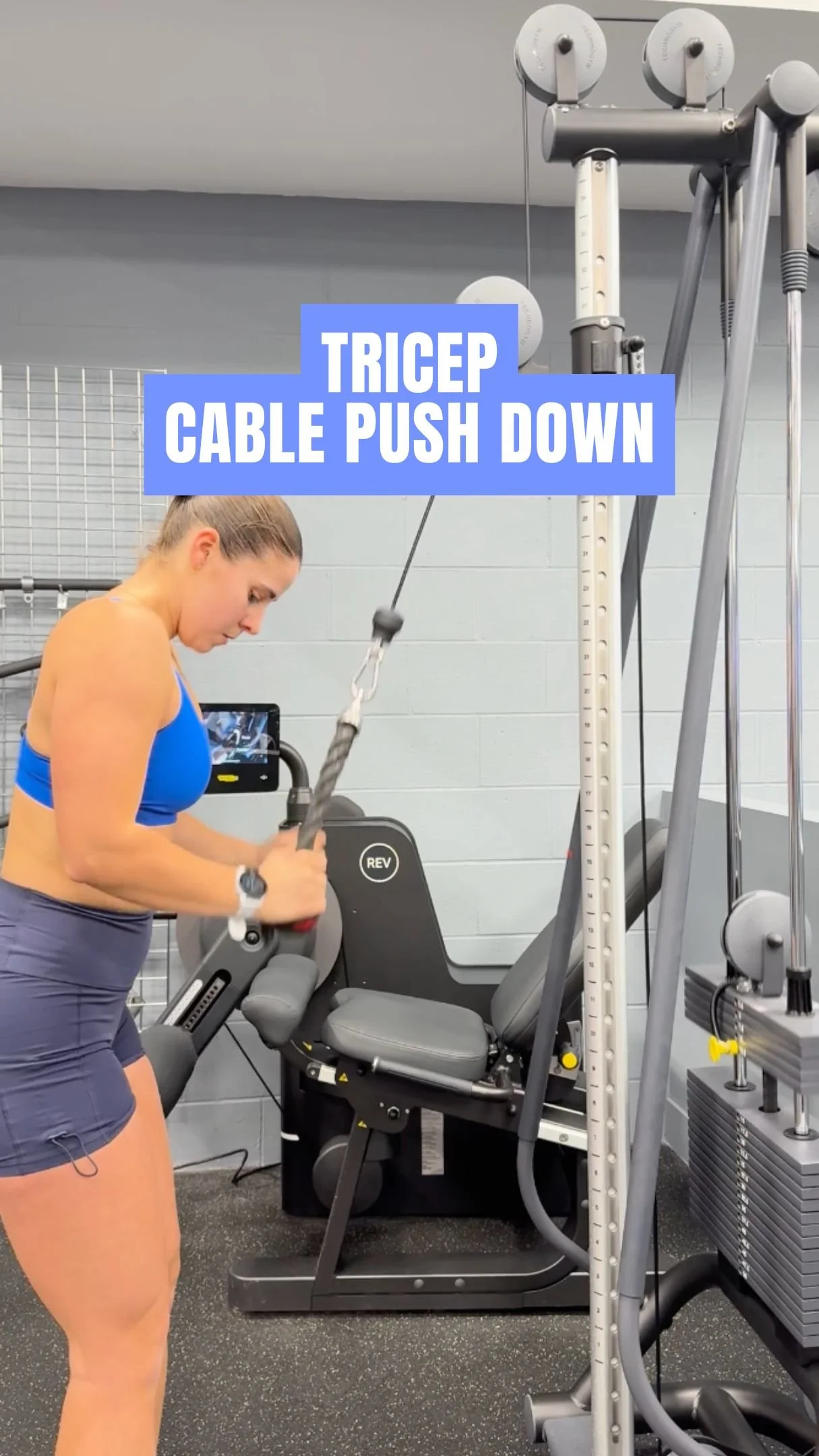 Tricep Cable Push Down