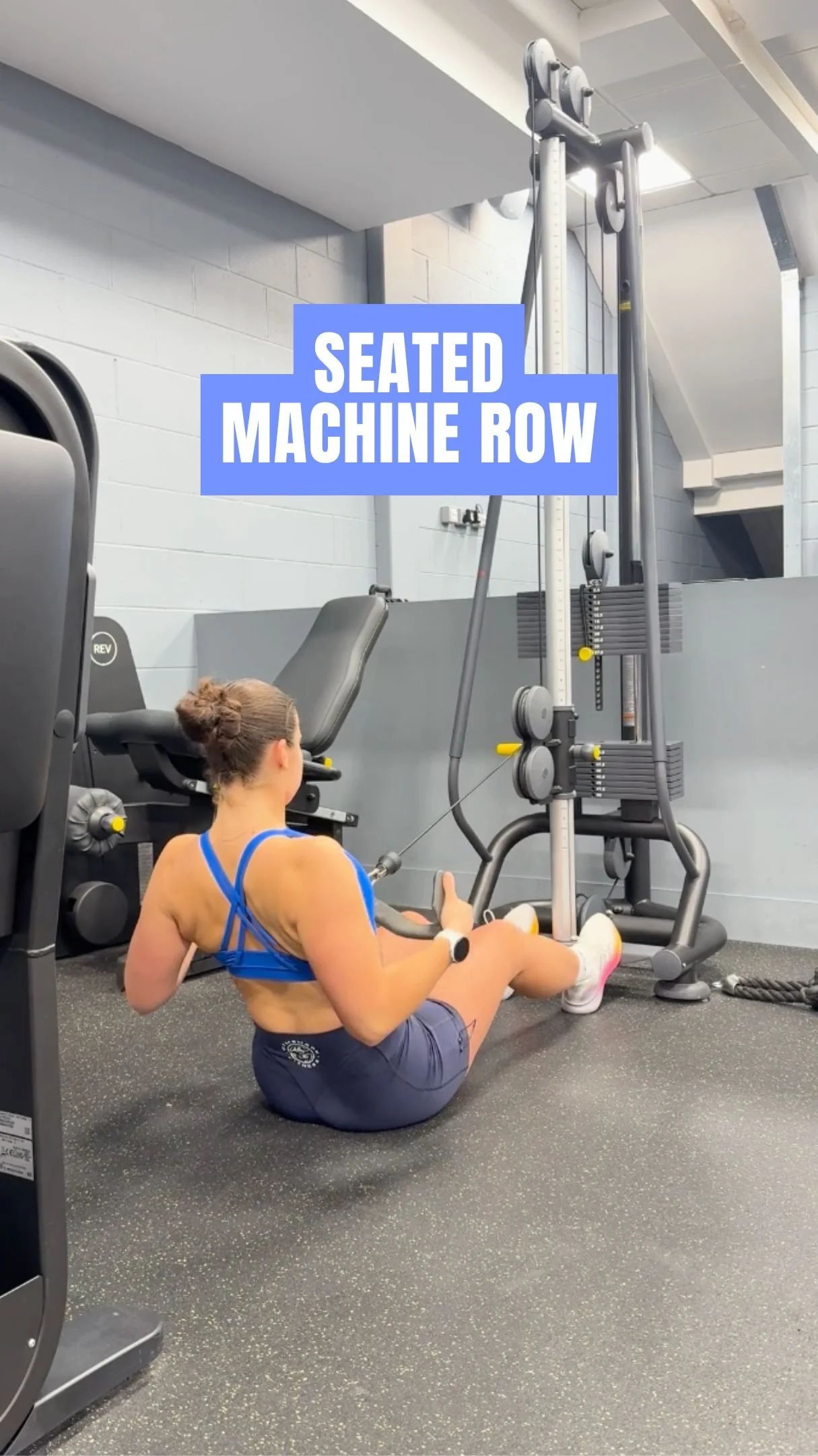 Seated Machine Row