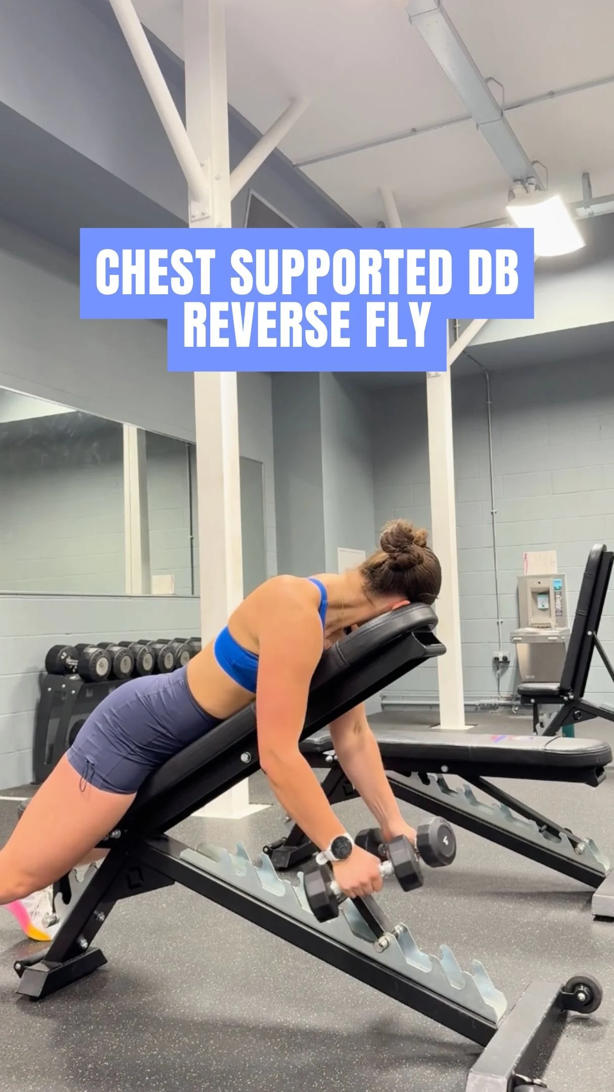 Chest Supported DB Reverse Fly