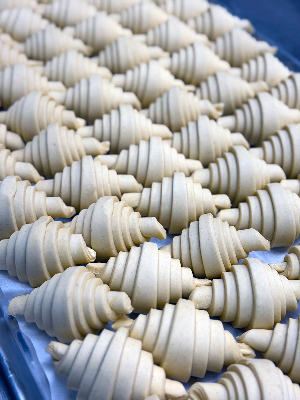 Multiple uncooked croissant dough pieces arranged on a baking tray.
