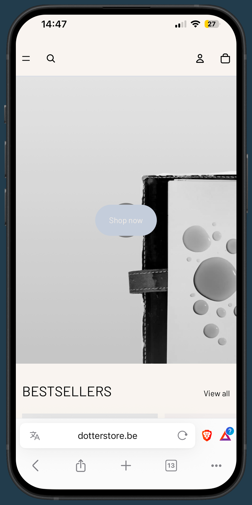 Homepage van Dotter op een iphone. De belangrijkste call to action is amper zichtbaar door gebrek aan contrast.
