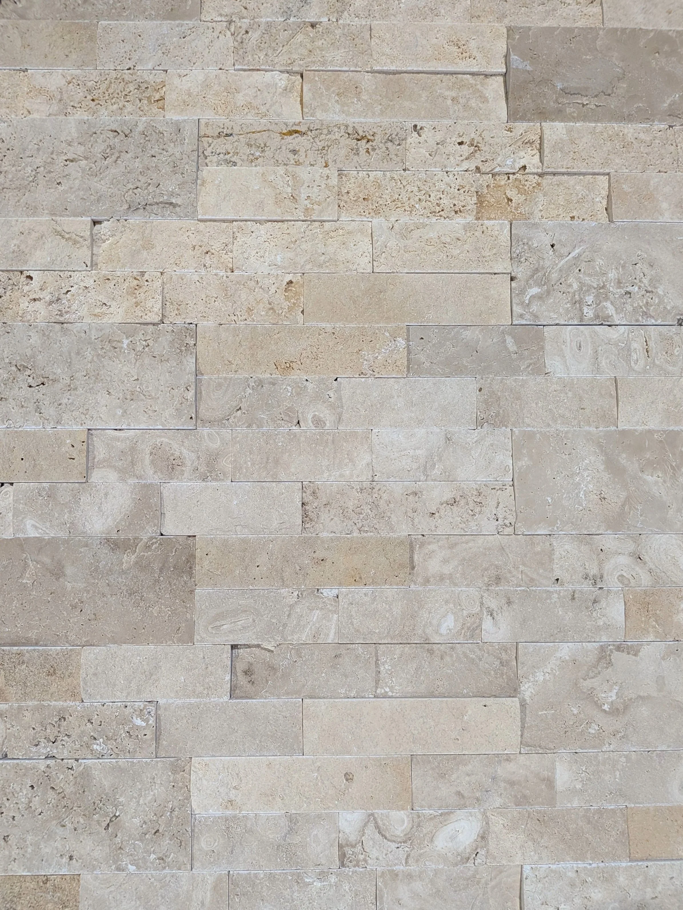 Roman Beige Splitface Ledger Panel