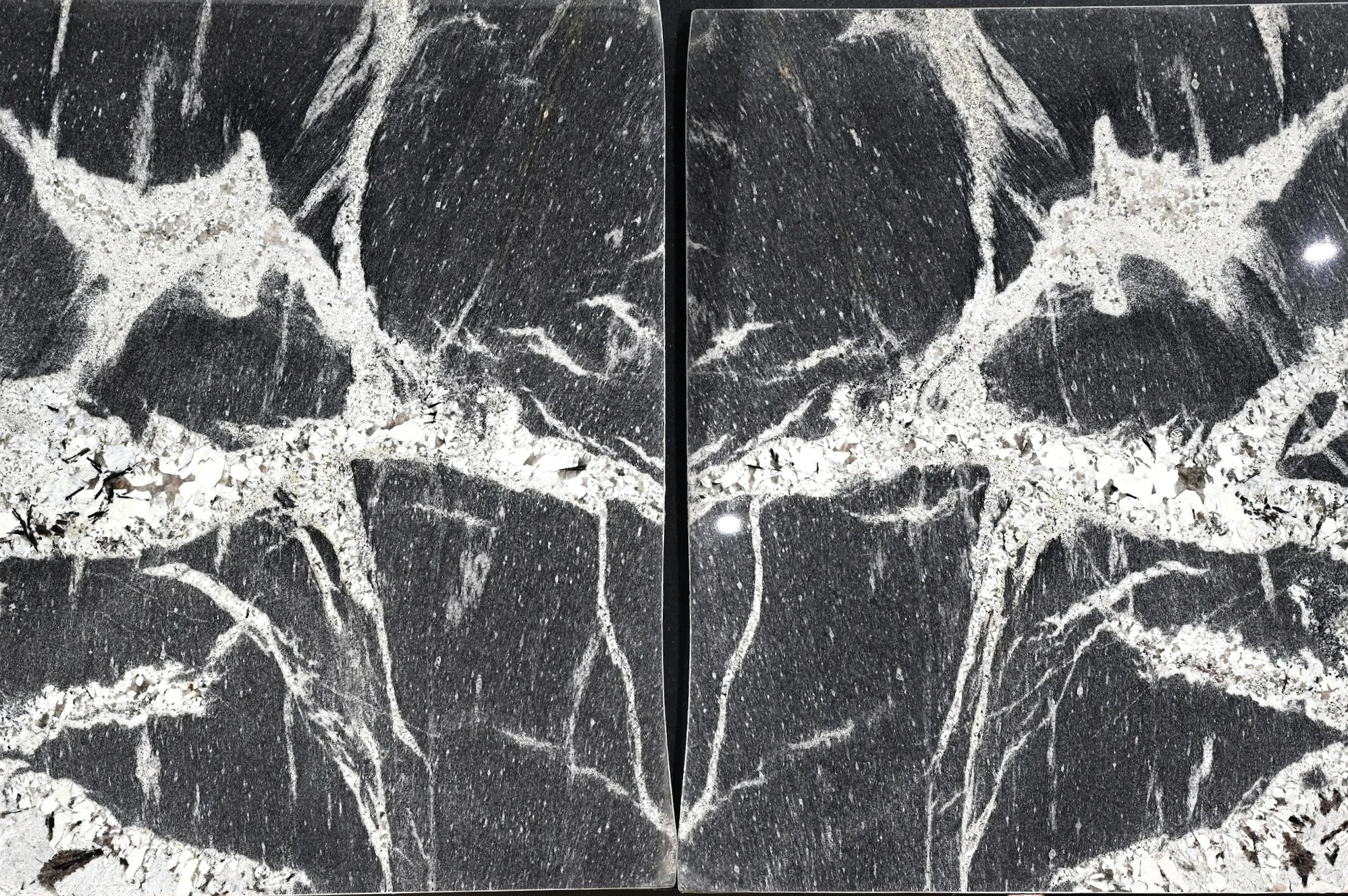 Splendor Polished Bookmatched Detail Alt.png