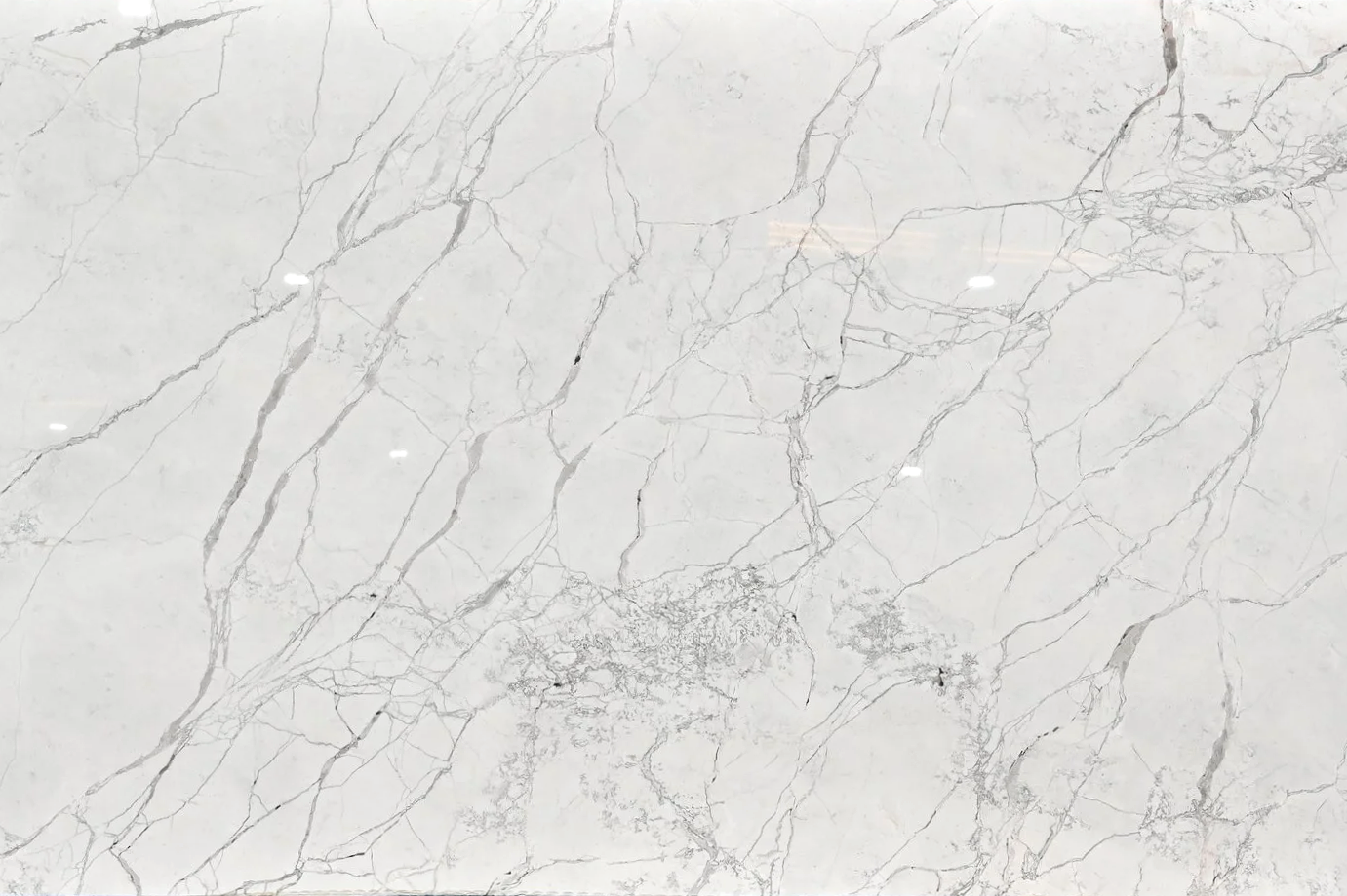 Calacatta Salvatore Polished.png