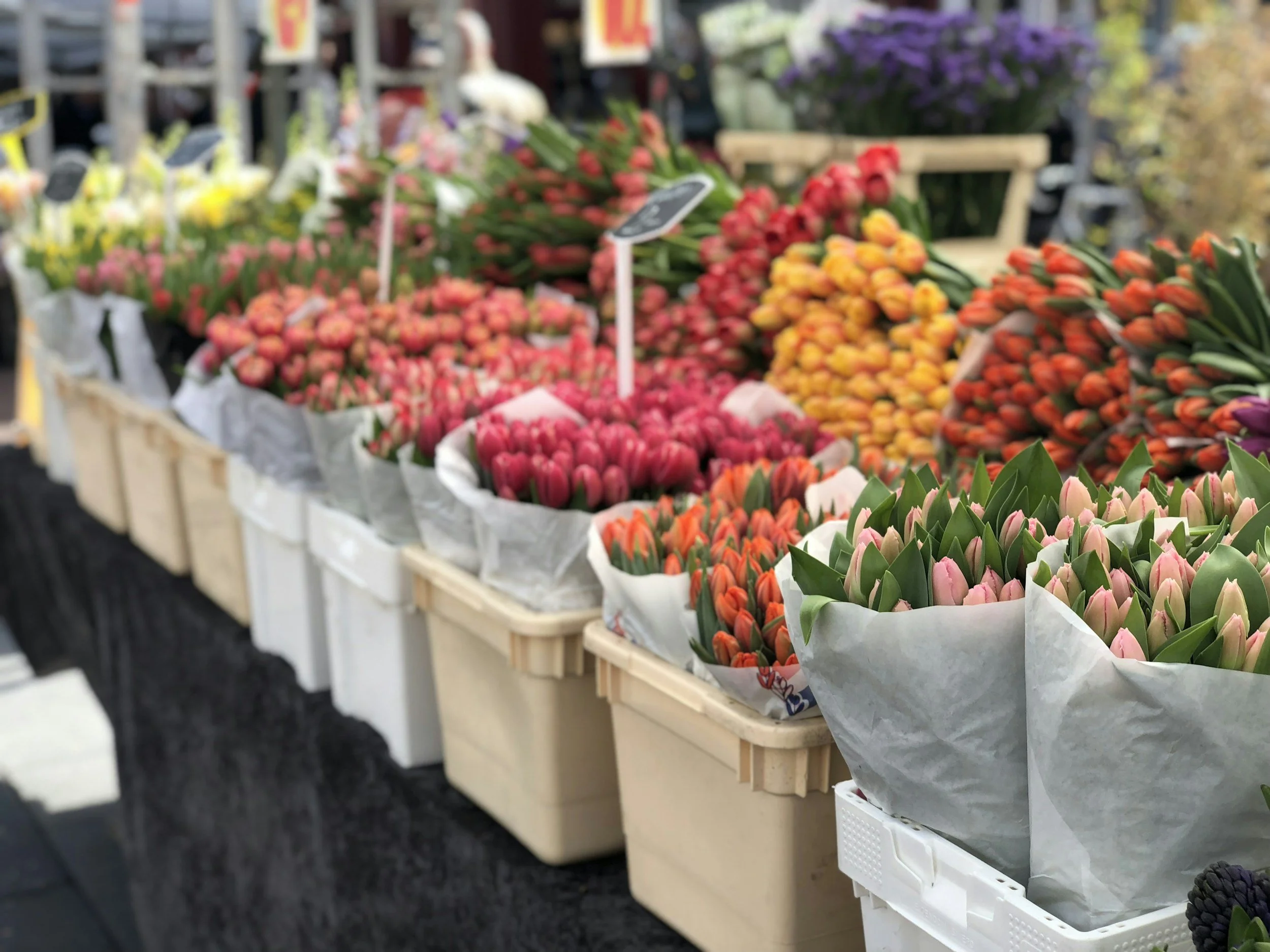 Colorful tulip flower bunches in white wrapping paper displayed in bins at a market stand.