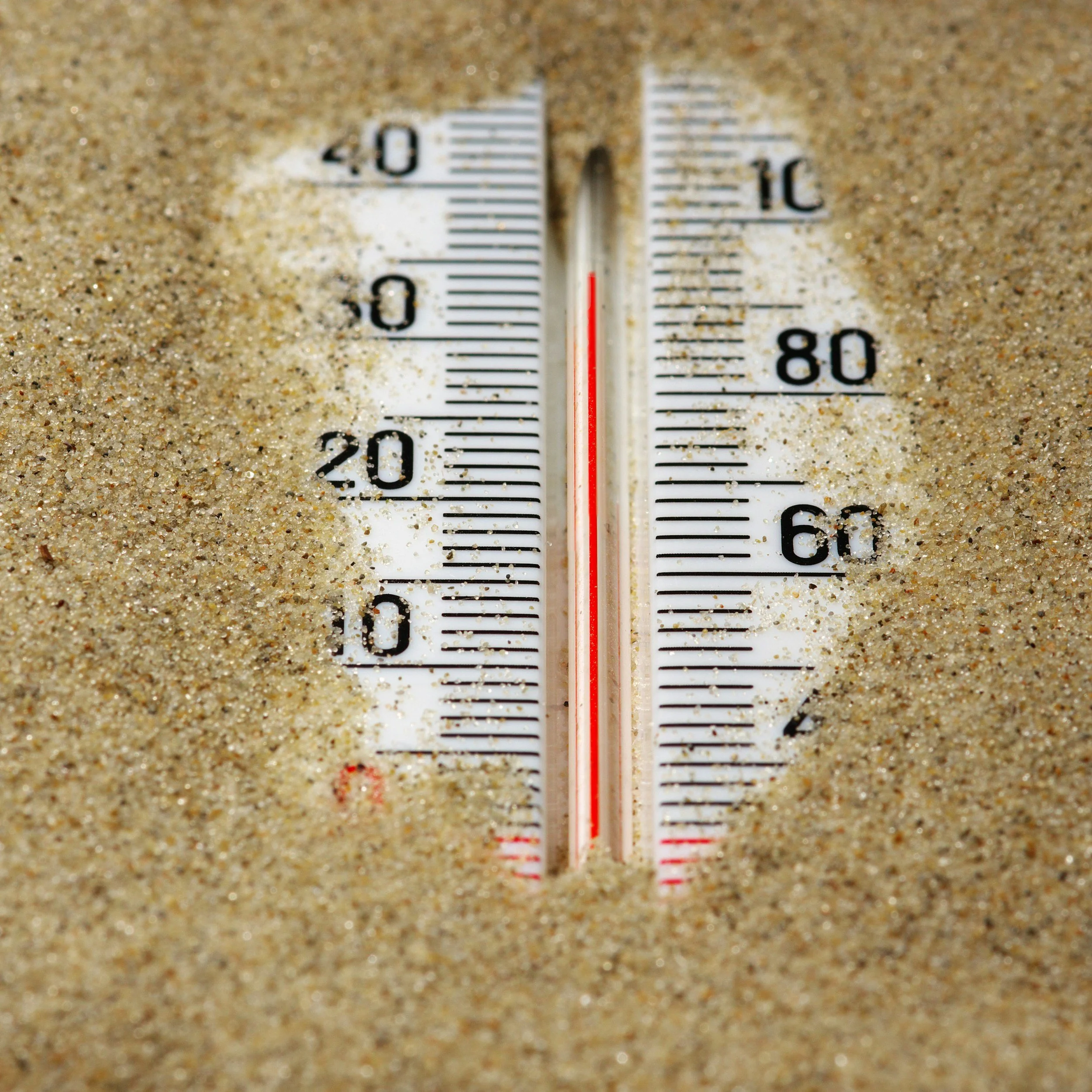 Close-up of a thermometer embedded in sand, displaying a temperature of approximately 81°F.