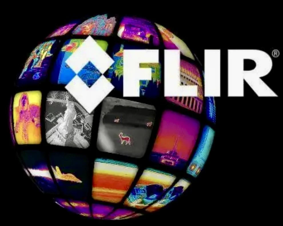 FIR logo over a globe made of small, colorful images.