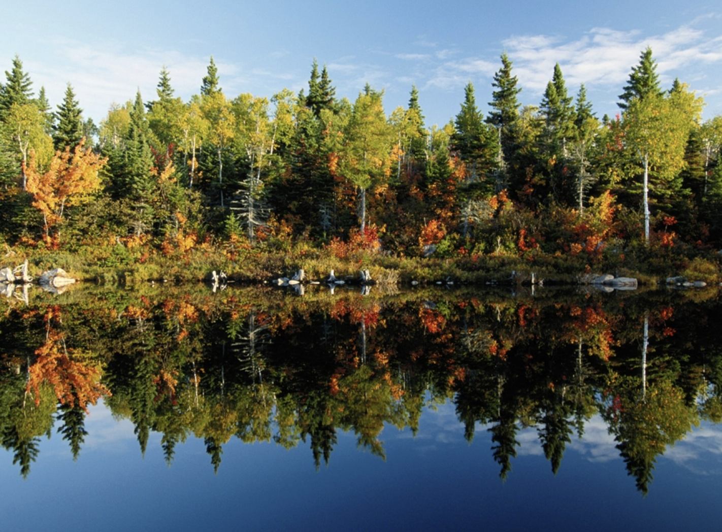 WHAT STAYS WHEN EVERYTHING CHANGES