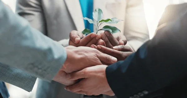 THE BUSINESS BENEATH THE STRATEGY