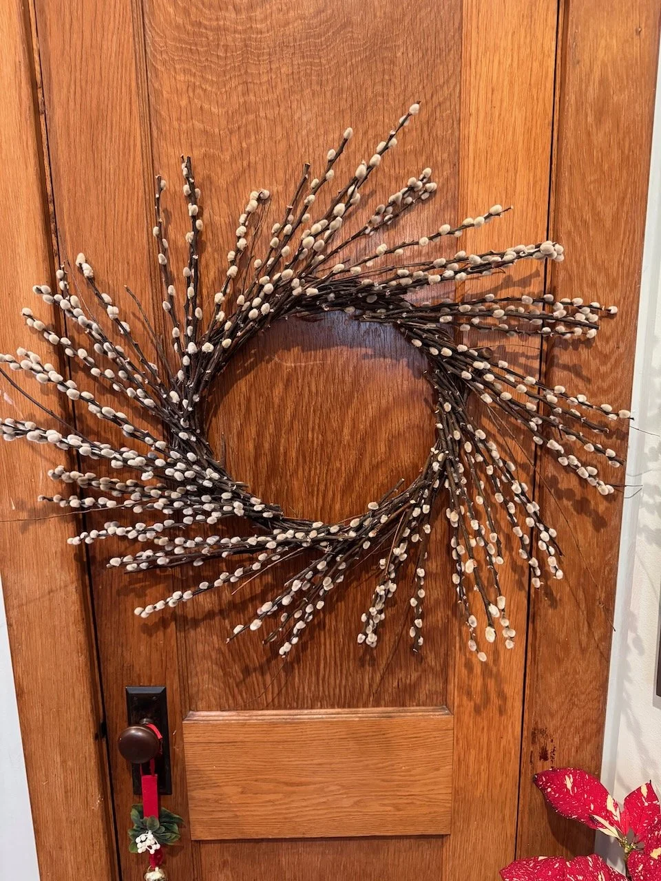 XL Pussy Willow Wreath