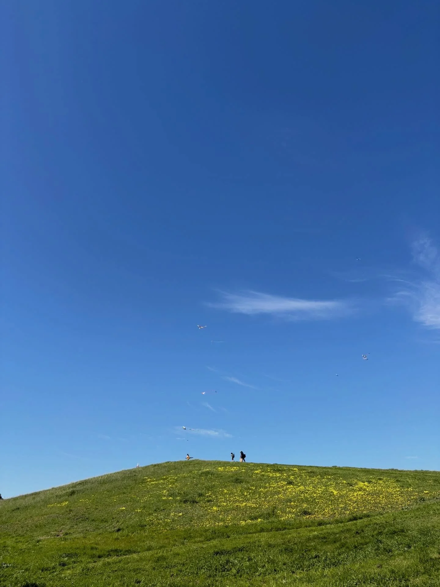 Spring! We are just past the peak of Spring! This time of year is lighter, brighter, greener and full of momentum. If you&rsquo;re feeling low, sluggish, dealing with allergies or extra irritable it&rsquo;s you&rsquo;re time to come get acupuncture. 