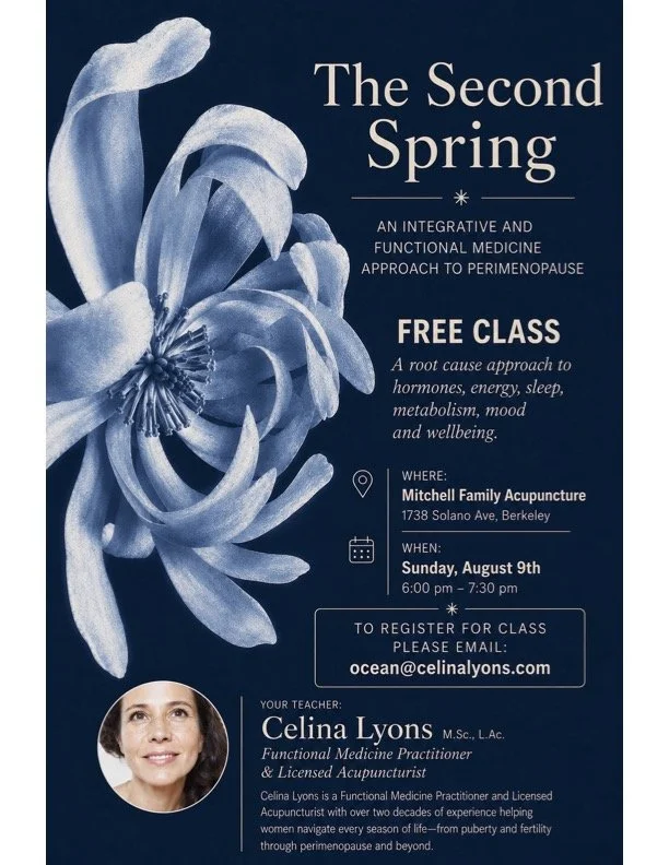 Second Spring Workshop