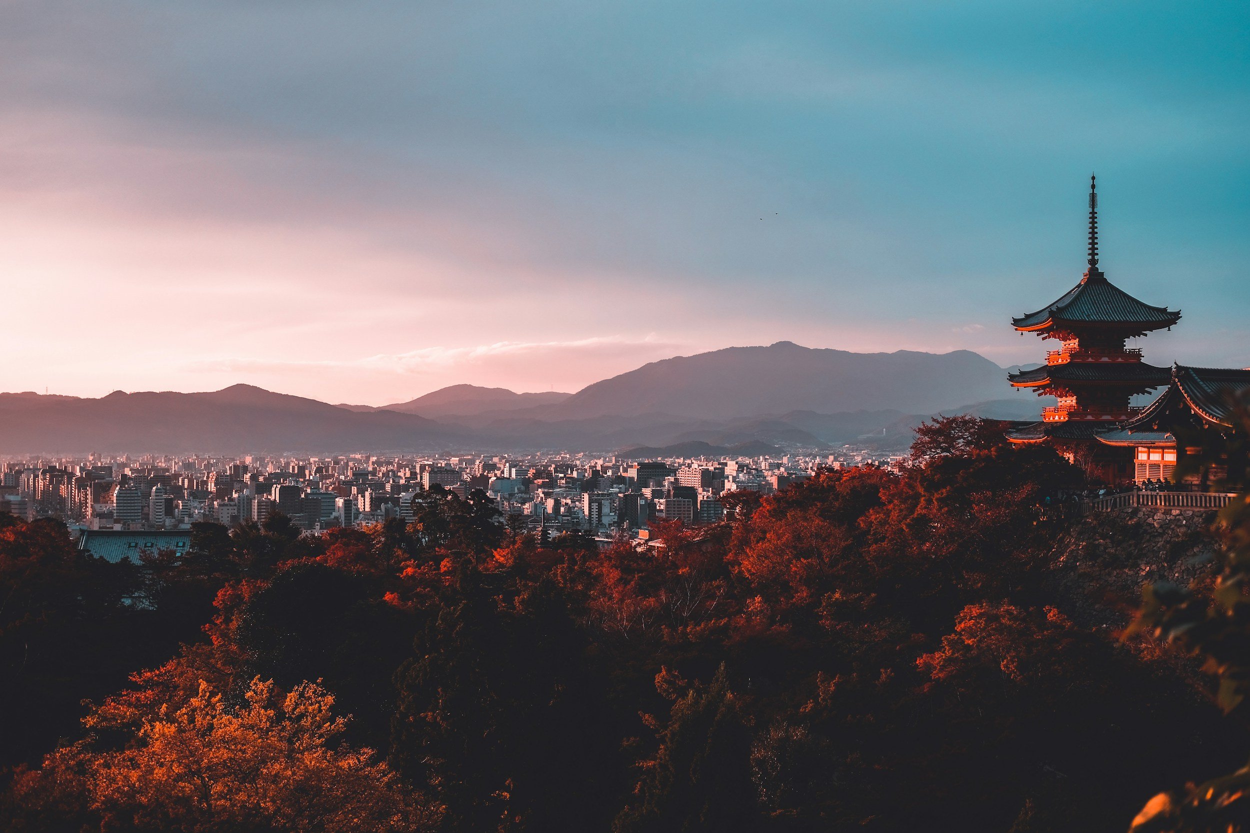 unsplash-image-E_eWwM29wfU.jpg