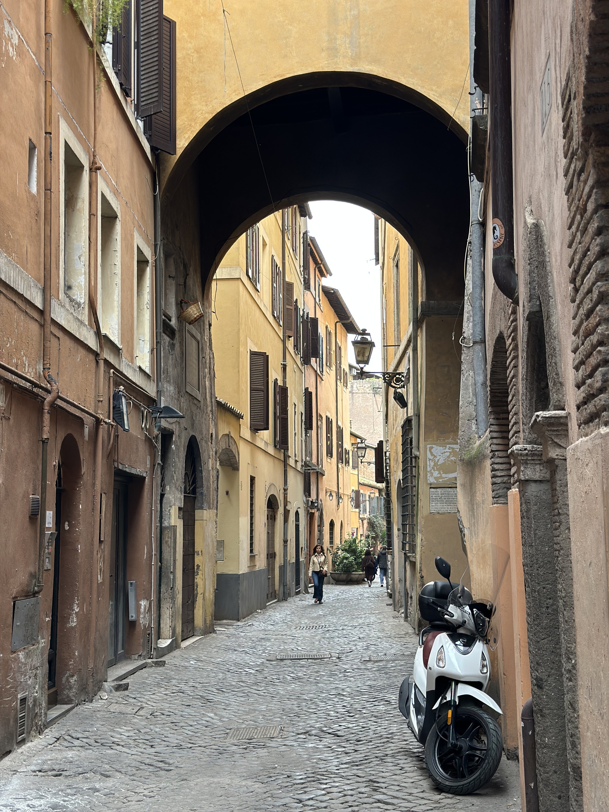IMG_6009.jpeg