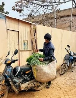 Marrakech photos - 1 (4).jpeg