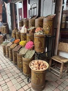 Marrakech photos - 1 (2).jpeg