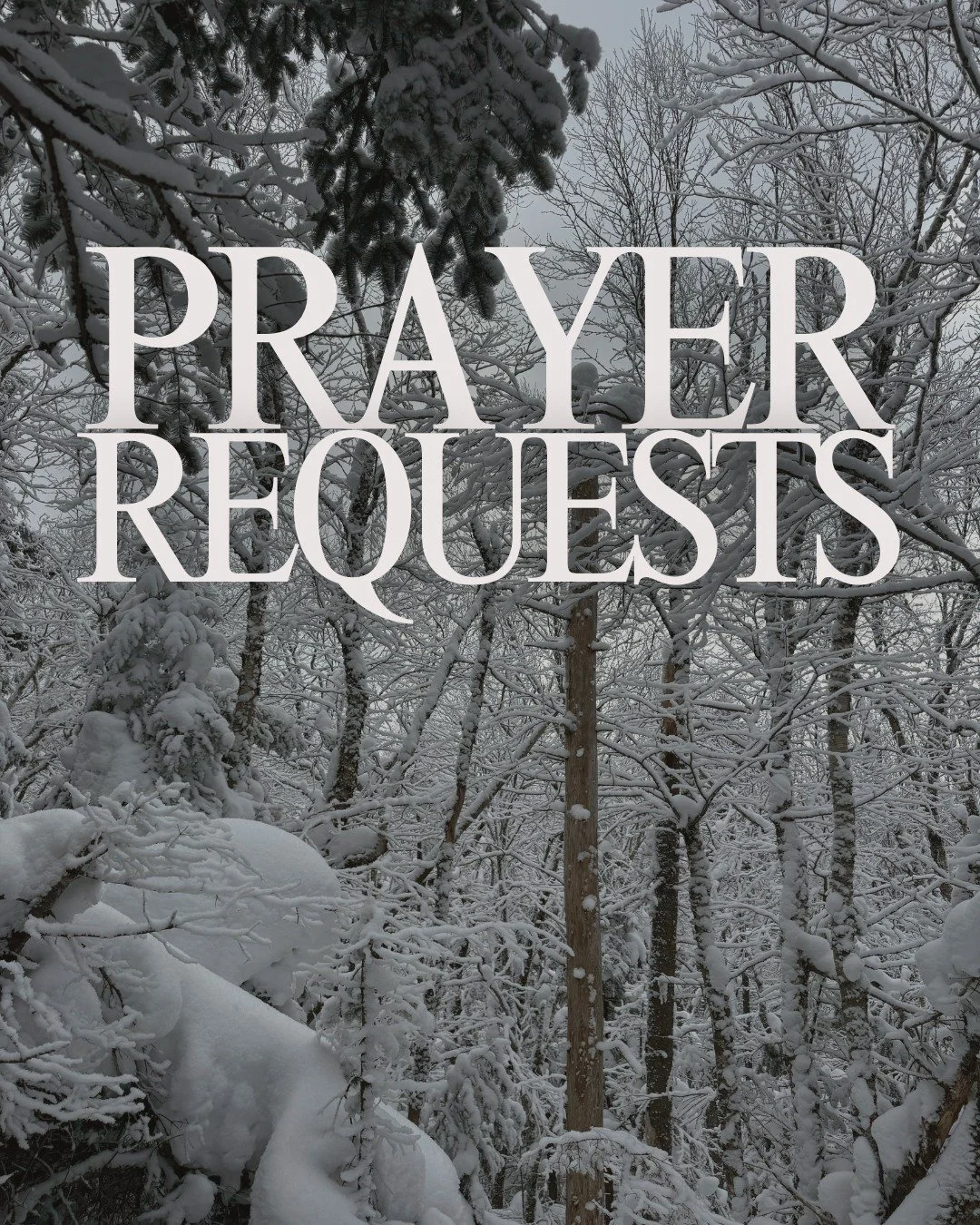 Would you join us in prayer this week as we lift up our students, staff, and ministry? 

Please pray for:
✞ Confidence &amp; identity in Christ &mdash; That each man and woman would trust who God says they are and walk boldly in His calling.
✞ Commit