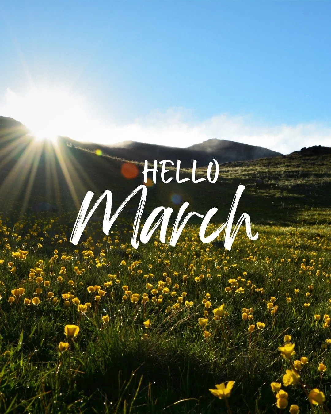 Heavenly Father,

As we enter the month of March, we thank You for the changing of seasons. Just as the earth begins to awaken and new life starts to bloom, we are reminded that You are always at work, bringing renewal, growth, and restoration.

Lord