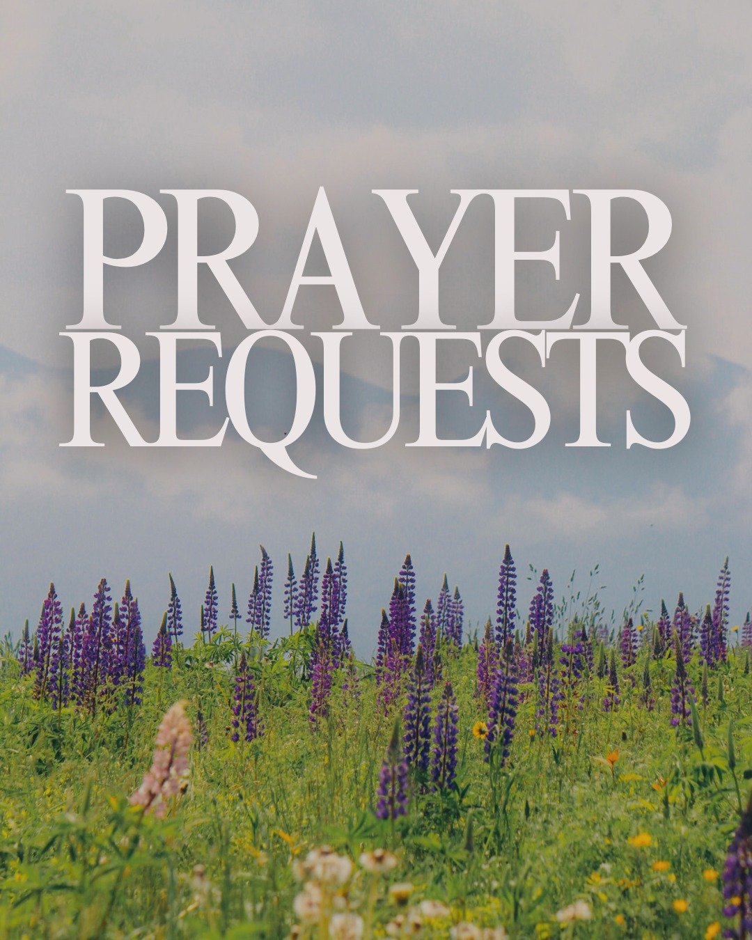 Would you join us in lifting up our ministry this week?

Please pray for:

✞ Wisdom &amp; Discernment &mdash; That each student would apply their days wisely, making decisions rooted in humility and truth.
✞ Confidence &amp; Identity &mdash; For thos