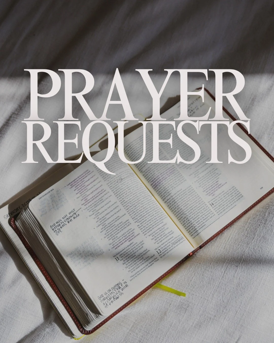 Would you join us in prayer for the ongoing work happening across The Potter&rsquo;s House campuses?

Please pray for:
✞ Continued spiritual growth &mdash; That students would remain committed to God&rsquo;s Word and continue building strong foundati