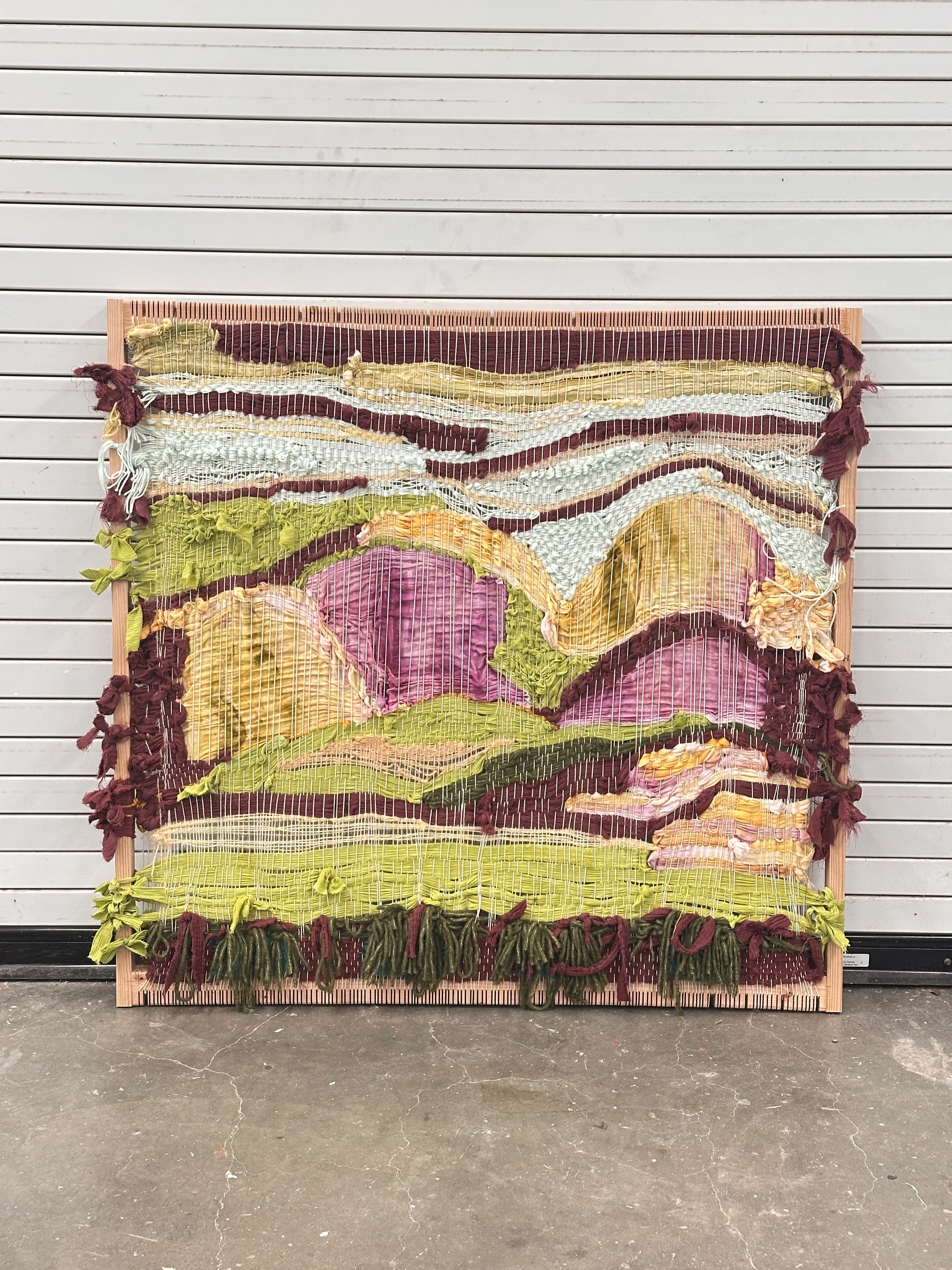 Hills and The Valley (2025)

48in x 52in

solar prints, dyed material, wood, cotton
