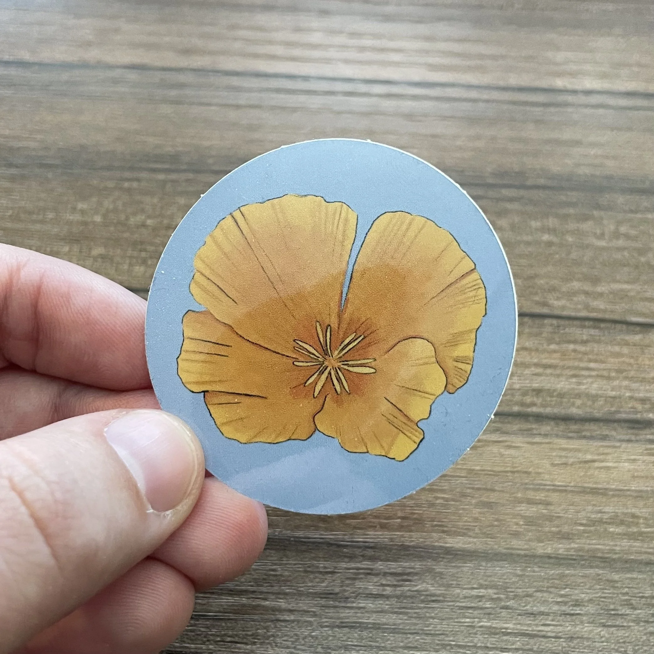 poppy flower sticker